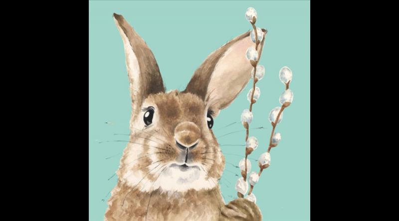 PPD.C133002941 Fred papírszalvéta 33x33cm, 20db-os