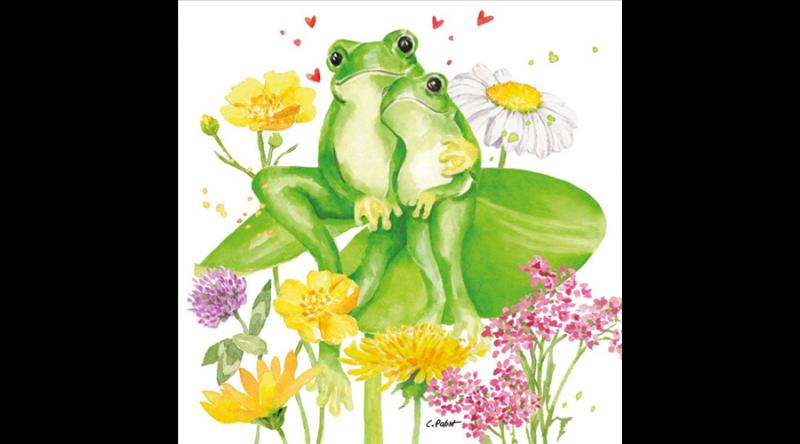 PPD.C133002965 Tina & Tom papírszalvéta 33x33cm, 20db-os