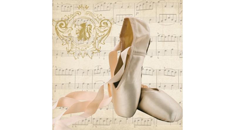 PPD.C1332467 Concerto Ballet papírszalvéta 33x33cm,20db-os