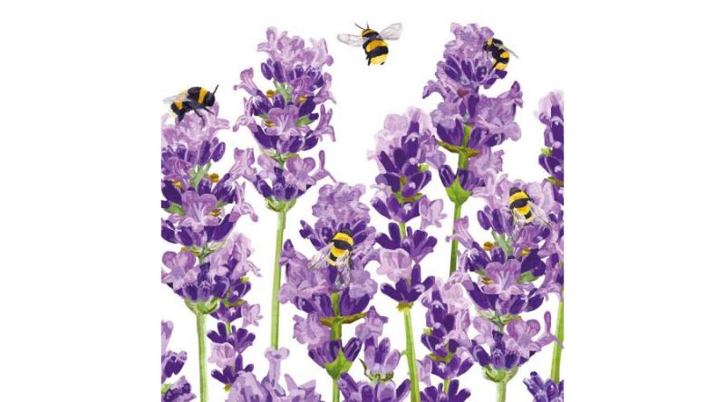 PPD.C1333956 Bees & Lavender papírszalvéta 33x33cm,20db-os, levendula mintás