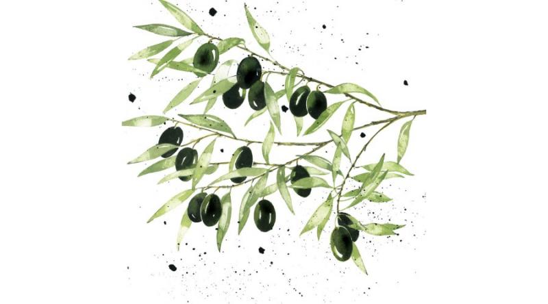 PPD.C1334394 Olives papírszalvéta 33x33cm,20db-os