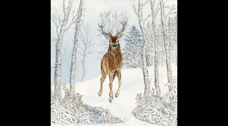 PPD.C333002776 Cerf Hiver papírszalvéta 33x33cm, 20db-os