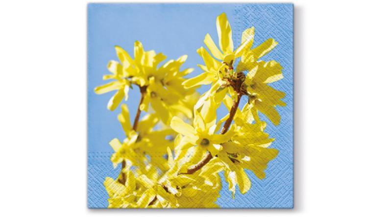 P.W.SDL061600 Forsythia papírszalvéta 33x33cm,20db-os