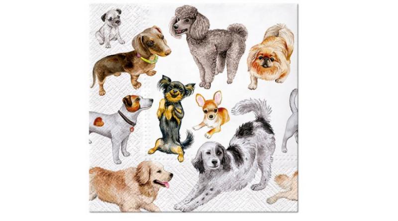 P.W.SDL132600 Dogs Happiness papírszalvéta 33x33cm,20db-os