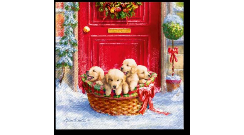 P.W.SDL236100 Christmas Puppies papírszalvéta 33x33cm,20db-os