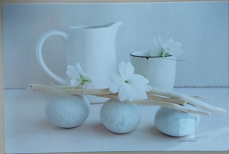 R2S műanyag reggeliző alátét, Still life white, 45X30 cm ART STI0550D