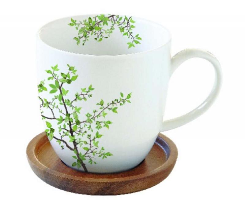 R2S.1080NTRA Porcelánbögre akácfa alátéttel, 350ml, dobozban, Natura