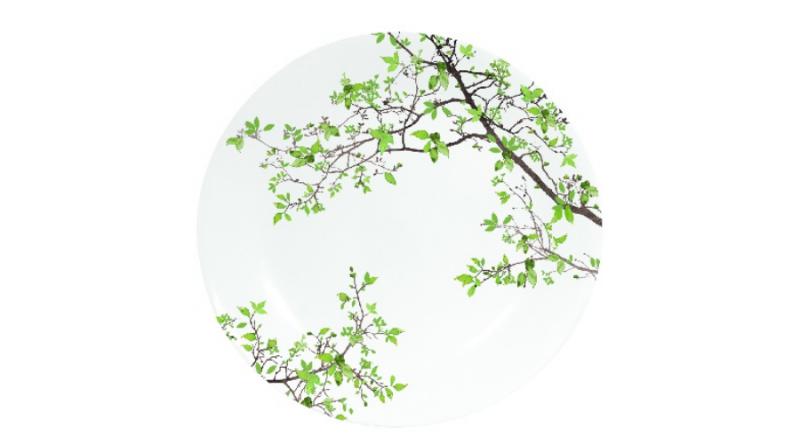 R2S.1083NTRA Porcelán desszerttányér 19cm, dobozban, Natura