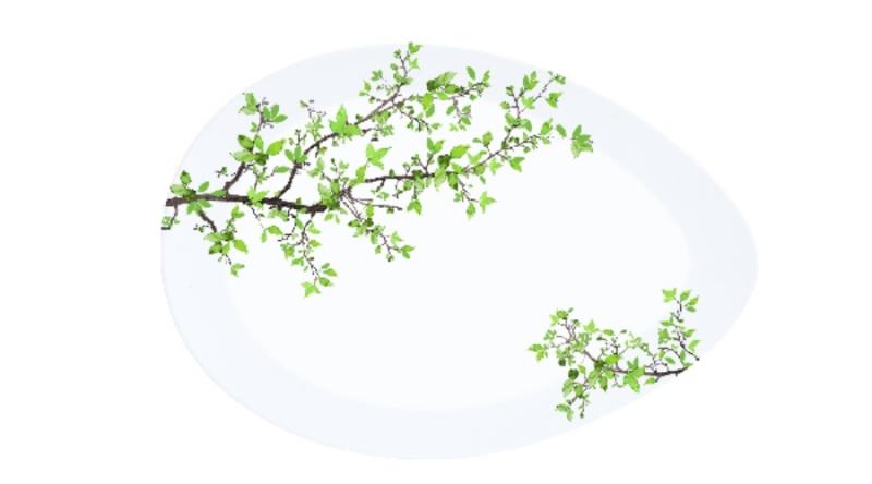 R2S.1086NTRA Porcelán kínálótál tojás forma, 24x16,5cm, dobozban, Natura