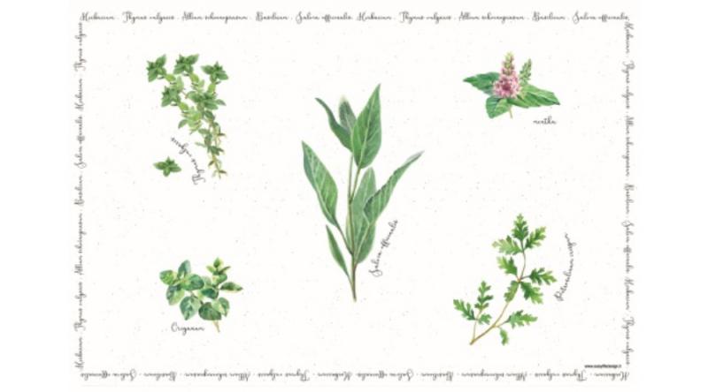 R2S.550HERU Műanyag tányéralátét 45x30cm,Herbarium