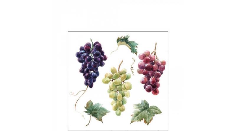 Szőlő mintás szalvéta, AMB.12517240 Wine grapes papírszalvéta 25x25cm,20db-os