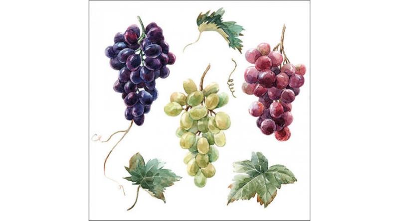 Szőlő mintás szalvéta, AMB.13317240 Wine grapes papírszalvéta 33x33cm, 20db-os