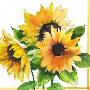 AMB.12506555 Girasoli papírszalvéta 25x25cm,20db-os