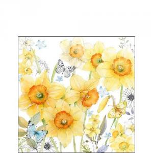 AMB.12512690 Classic Daffodils papírszalvéta 25x25cm,20db-os