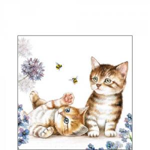 AMB.12512885 Cats and Bees papírszalvéta 25x25cm,20db-os, cicás szalvéta