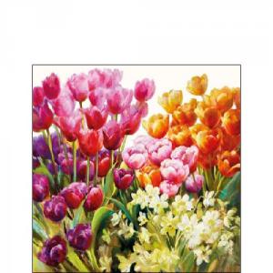 AMB.12514960 Tulips papírszalvéta 25x25cm, 20db-os
