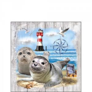 AMB.12515435 Seal Couple papírszalvéta 25x25cm,20db-os