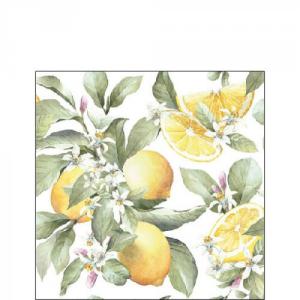 AMB.12516065 Limoni papírszalvéta 25x25cm,20db-os