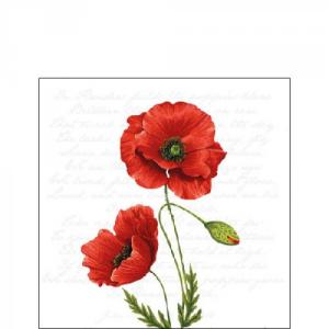 AMB.12516120 Proud Poppy papírszalvéta 25x25cm, 20db-os