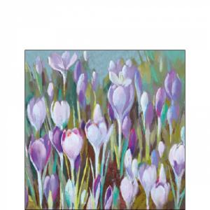 AMB.12517005 Crocus papírszalvéta 25x25cm,20db-os