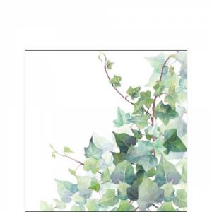 AMB.12517025 Hedera White papírszalvéta 25x25cm,20db-os, borostyán