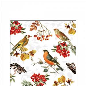 AMB.12517730 Autumn birds papírszalvéta 25x25cm,20db-os