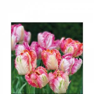 AMB.12517755 Parrot Tulips papírszalvéta 25x25cm,20db-os