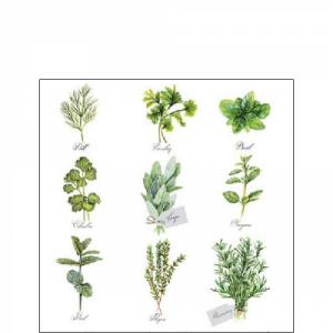 AMB.12518560 Herb selection papírszalvéta 25x25cm, 20db-os