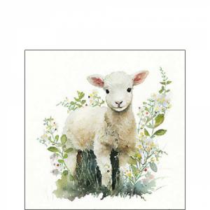 AMB.12518580 Lamb papírszalvéta 25x25cm, 20db-os