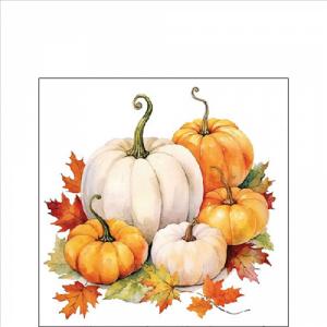 AMB.12518815 Pumpkin season papírszalvéta 25x25cm, 20db-os