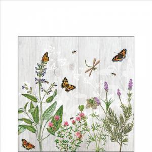 AMB.12519345 Herb Garden papírszalvéta 25x25cm,20db-os