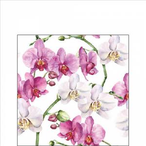 AMB.12519605 Elegant orchids white papírszalvéta 25x25cm,20db-os