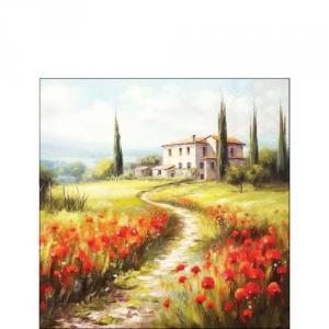 AMB.12520635 Tuscan house papírszalvéta 25x25cm, 20db-os