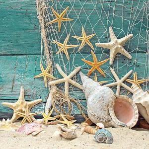 AMB.13310365 Starfish papírszalvéta 33x33cm, 20db-os