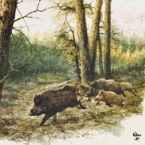 AMB.13311020 Wild Boars in the Woods papírszalvéta 33x33cm,20db-os