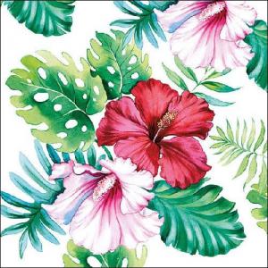 AMB.13313145 Hibiscus Floral White papírszalvéta 33x33cm,20db-os