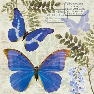 AMB.13313355 Blue Morpho papírszalvéta 33x33cm,20db-os