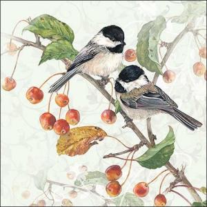 AMB.13313475 Chickadee papírszalvéta 33x33cm,20db-os