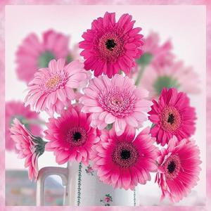 AMB.13314010 Pink Gerberas papírszalvéta 33x33cm,20db-os