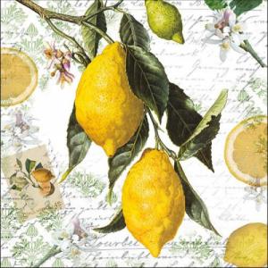 AMB.13314990 Lemon papírszalvéta 33x33cm,20db-os