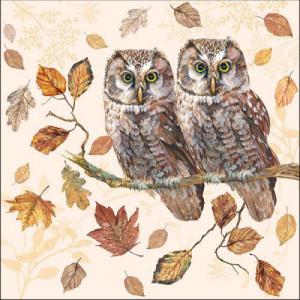 AMB.13315460 Owl Couple papírszalvéta 33x33cm, 20db-os