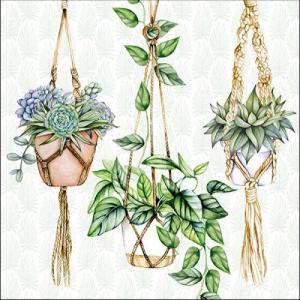 AMB.13316035 Hanging Plants papírszalvéta 33x33cm,20db-os