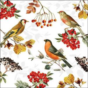 AMB.13317730 Autumn birds papírszalvéta 33x33cm, 20db-os