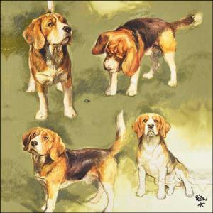 AMB.13317765 Beagles papírszalvéta 33x33cm, 20db-os