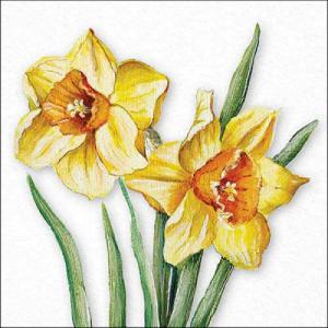 AMB.13318490 Flowering daffodils papírszalvéta 33x33cm, 20db-os