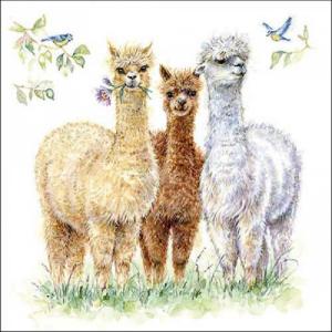 AMB.13318570 Alpaca friends papírszalvéta 33x33cm, 20db-os