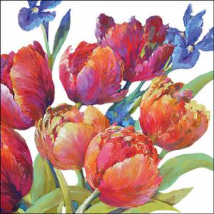 AMB.13319310 Tulips of joy papírszalvéta 33x33cm, 20db-os