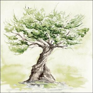 AMB.13319435 Olive tree papírszalvéta 33x33cm, 20db-os