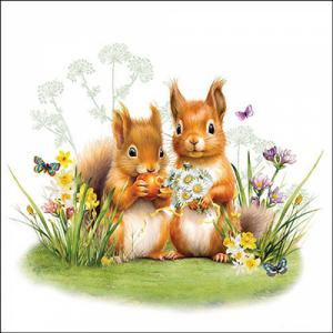 AMB.13319465 Little squirrels papírszalvéta 33x33cm, 20db-os
