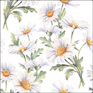 AMB.13319545 Beautiful daisies white papírszalvéta 33x33cm, 20db-os
